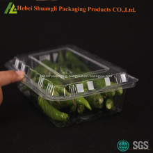 Clamshell plastic dry chili container
